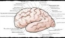 אשמנו? בגדנו?