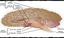 התגלות הבורא